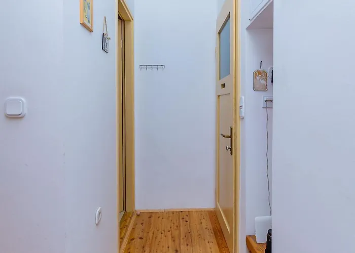 公寓 Residenza Gradenigo - 科尔丘拉